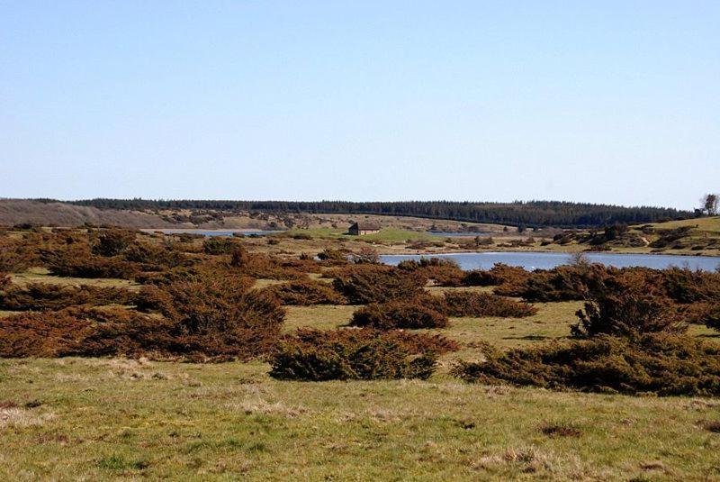 Hedelandets Camping Sevel Eksteriør billede